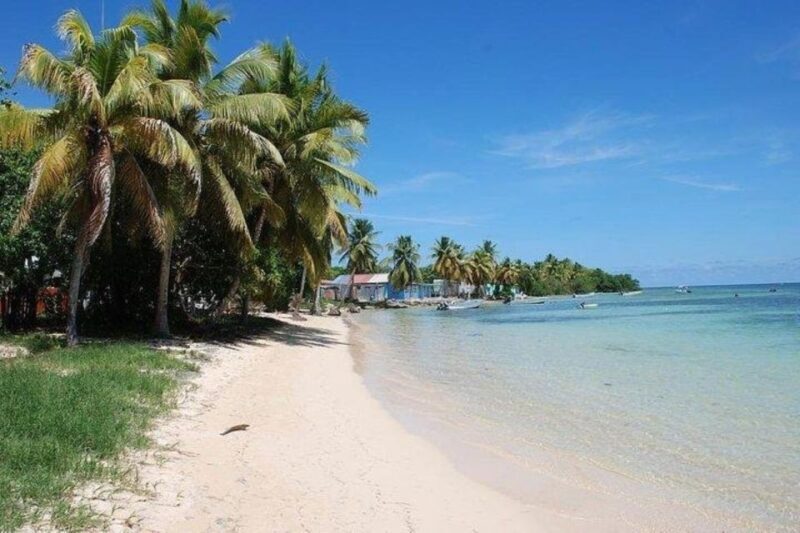 Roseau: Snorkeling and Beach Day with Lunch - Key Points