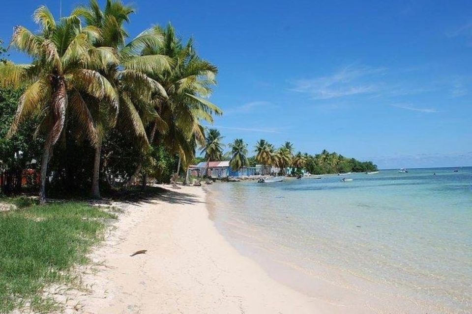Roseau: Snorkeling and Beach Day With Lunch - Snorkel in Soufriere