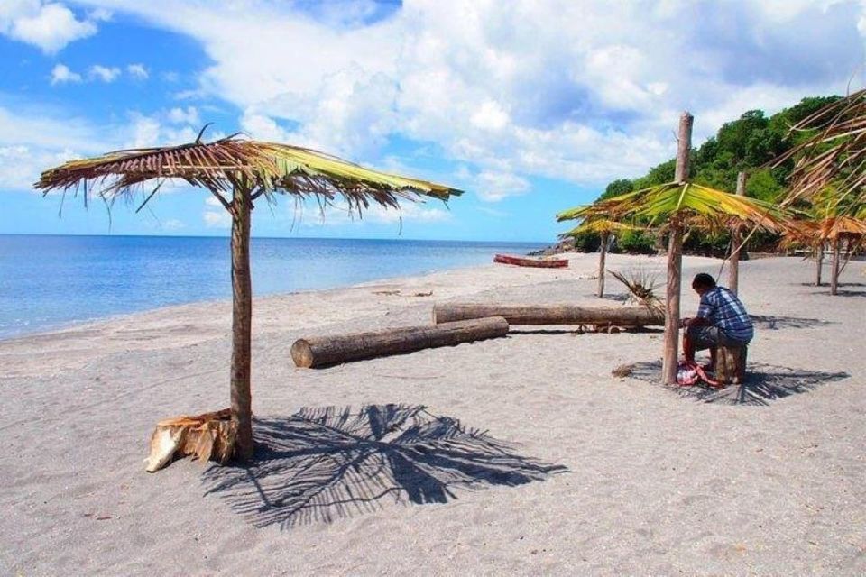 Roseau: Snorkeling and Beach Day With Lunch - Frequently Asked Questions