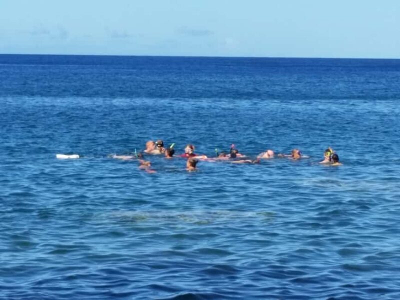 Roseau: Titou Gorge, Hot Spring, Falls & Champagne Reef Tour - A Day Packed with Nature and Adventure