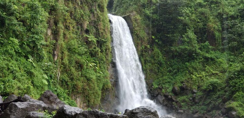 Roseau: Titou Gorge, Hot Spring, Falls & Champagne Reef Tour - Authenticity and Local Flavor