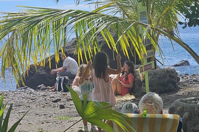 Roseau Valley to Champagne Beach Tour Experience - Who Is This Tour Best For?