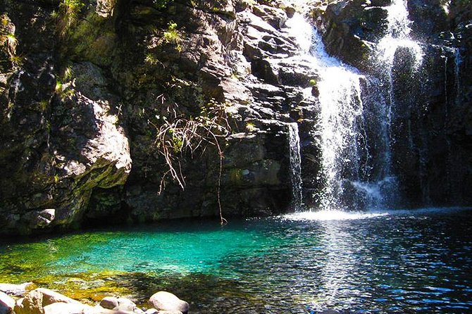 Rosemary Levada - Traveler Reviews and Ratings
