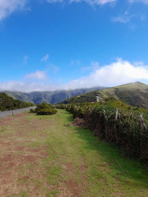 Rosemary Trail - Key Points