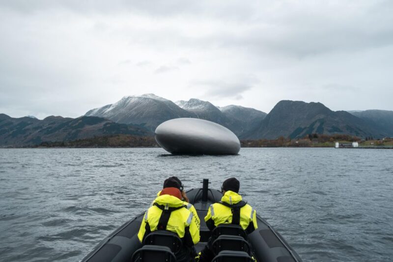 Rosendal Fjord Explore: RIB Adventure on the Hardangerfjord - Wildlife Spotting Opportunities