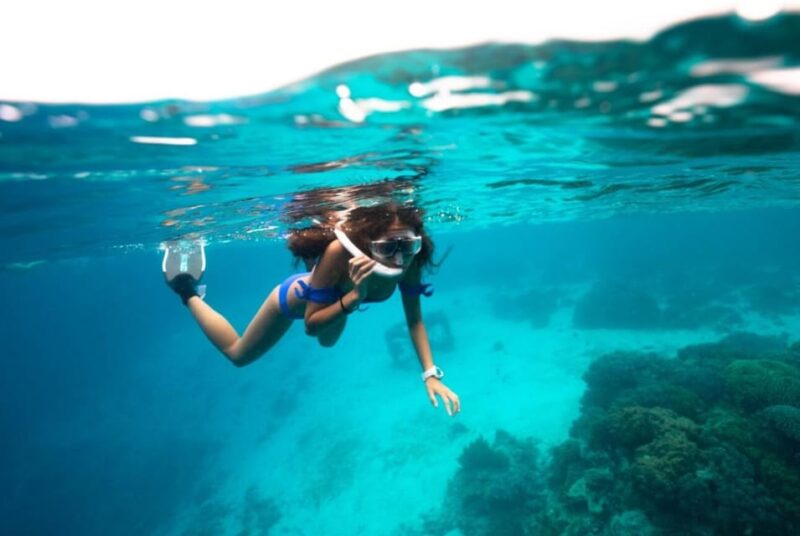 Roses Boat Trip Special: Snorkeling in Cap De Creus - Highlights of the Boat Trip Experience
