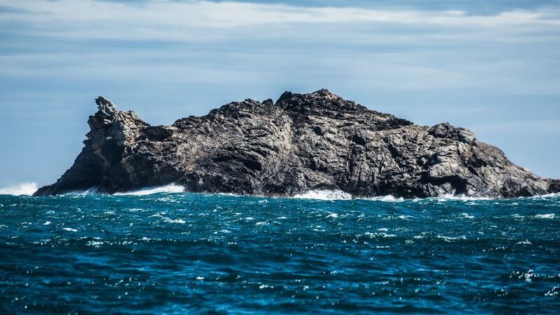 Roses: Boat Trip to Cap De Creus and Cadaqués - Meeting Point and Important Information