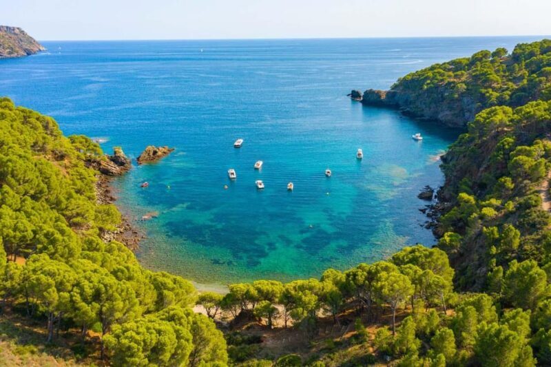 Roses: Costa Brava Catamaran Trip with Underwater Views - Key Points  
