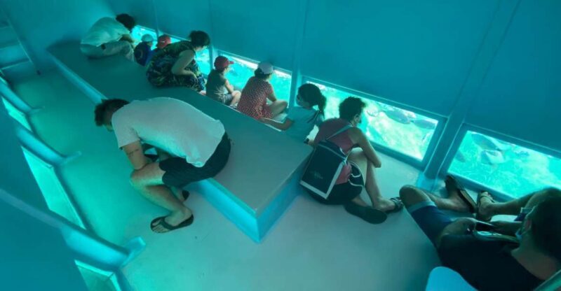Roses: Costa Brava Catamaran Trip with Underwater Views - An Introduction to the Experience