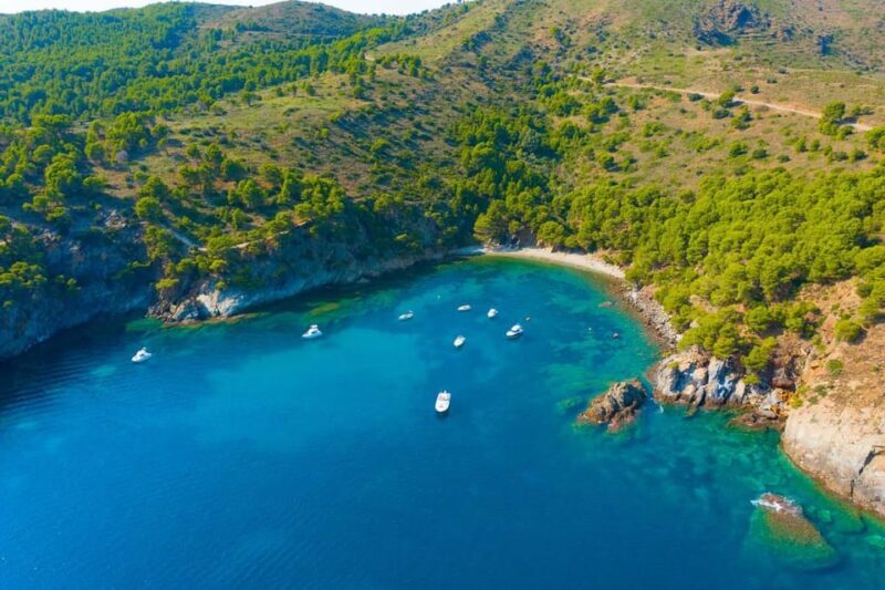 Roses: Costa Brava Catamaran Trip with Underwater Views - Who Will Appreciate This Experience?