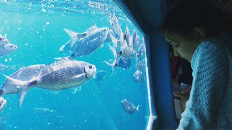 Roses: Cruise to Cala Murtra with Underwater Views - Frequently Asked Questions