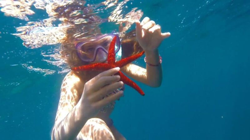 Roses: Rent the Boat and Live an Unforgettable Experience - Experience Highlights