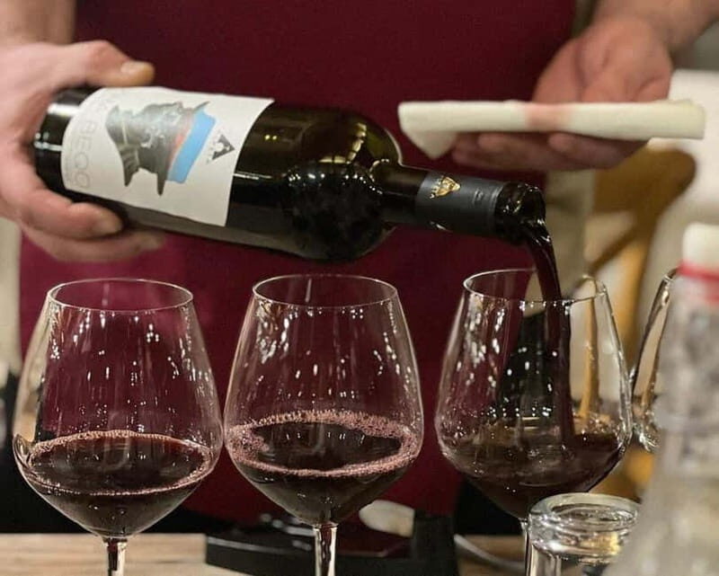 Roshnik: Wine Tasting Experience at the Agrotourism Winery - Inside the Wine Cellar