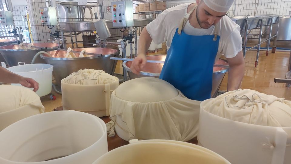 Rosola: Parmigiano Dairy Farm Visit With Cheese Tasting - Guided Tour of the Dairy Farm