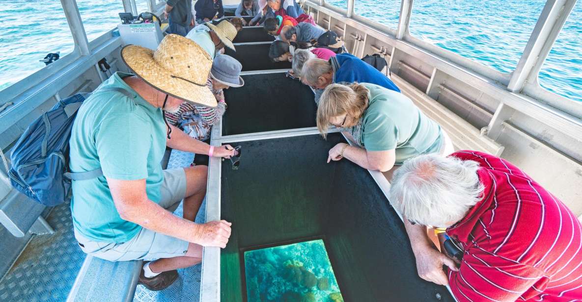 Rosslyn: Great Keppel Island Glass Bottom Boat Tour & Ferry - Tour Highlights