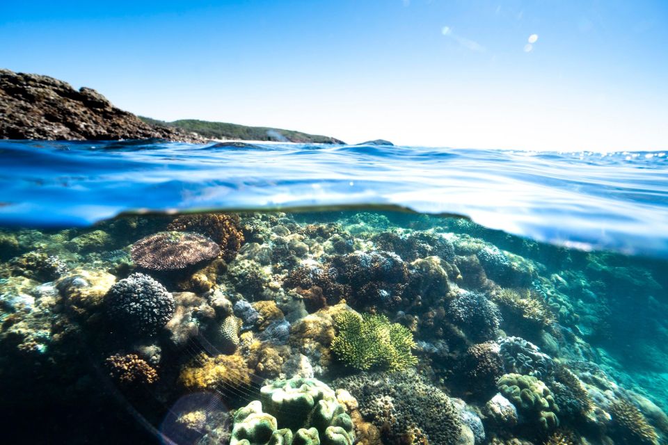 Rosslyn: Great Keppel Island Glass Bottom Boat Tour & Ferry - Important Information