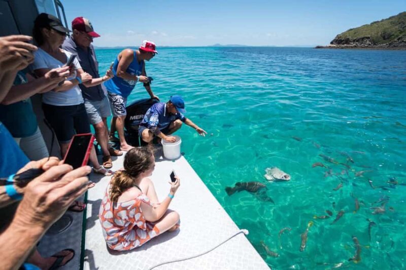 Rosslyn: Great Keppel Island Glass Bottom Boat Tour - The Reviews: What Travelers Say