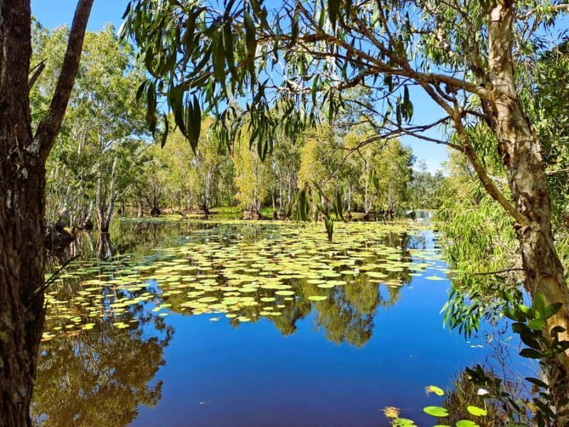 Rossville: Aboriginal Cultural Experience with Mooks - Key Points