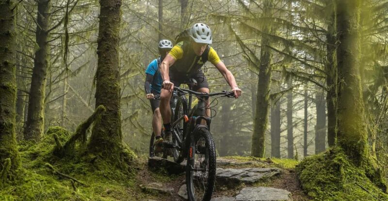 Rostrevor :Electric Mountain Biking Experience - Location and Trail Highlights