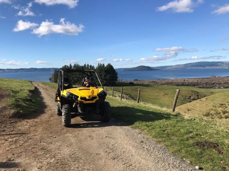 Rotorua: 4×4 Self-Drive Buggy Tour Through Farm and Bushland - Key Points