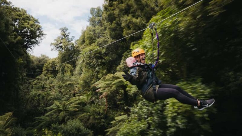 Rotorua: 6 Ziplines, Swing-Bridges & Wildlife Encounters - Details on the Experience and Logistics