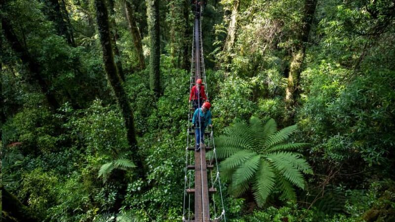 Rotorua: 6 Ziplines, Swing-Bridges & Wildlife Encounters - Why This Tour Is a Great Choice