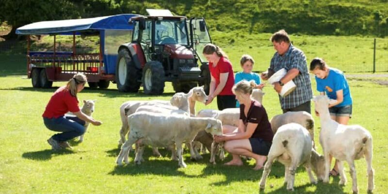 Rotorua Adventures Private Tour - Key Points