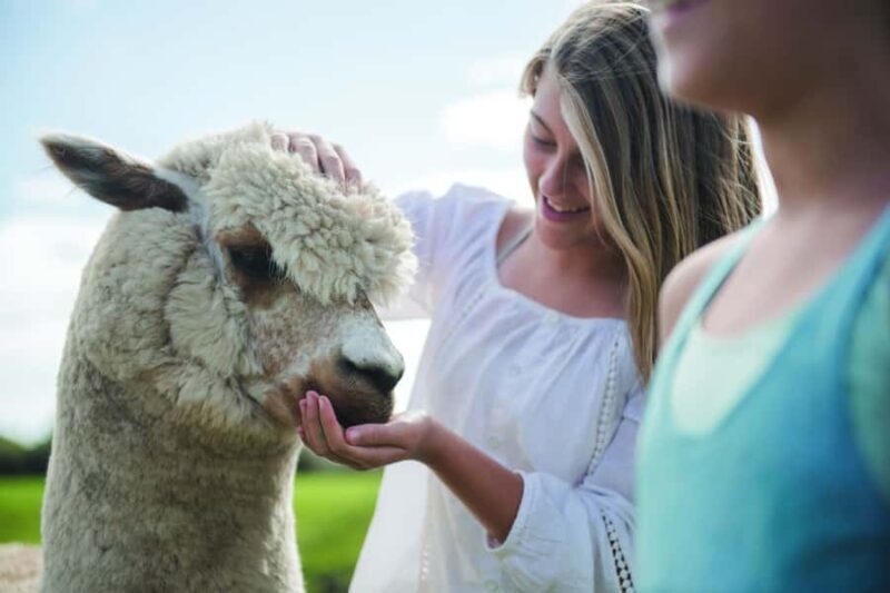Rotorua: Authentic Kiwi Farm Experience at the Agrodome - Practicalities: What You Need to Know