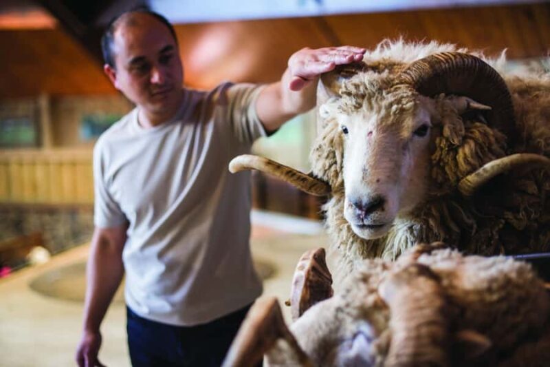 Rotorua: Authentic Kiwi Farm Experience at the Agrodome - Frequently Asked Questions