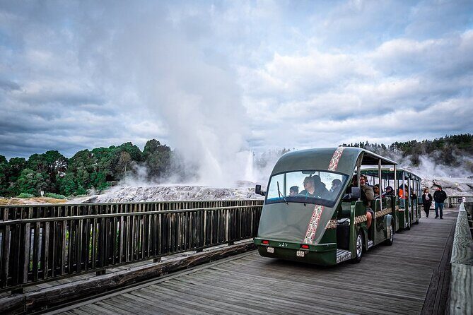 Rotorua Day Trip from Auckland TePuia_Hot Pool-Tub_Redwood Forest - Redwood Forest Walk