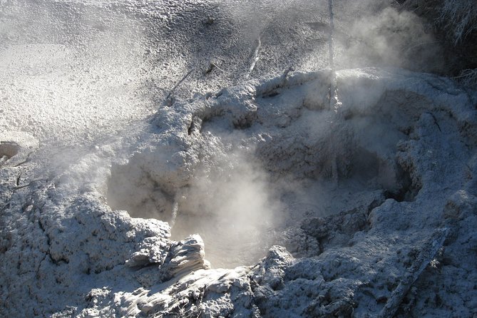 Rotorua Eco Cultural Full Day Tour (Wai O Tapu, Waimangu,Te Puia) - Pricing Details
