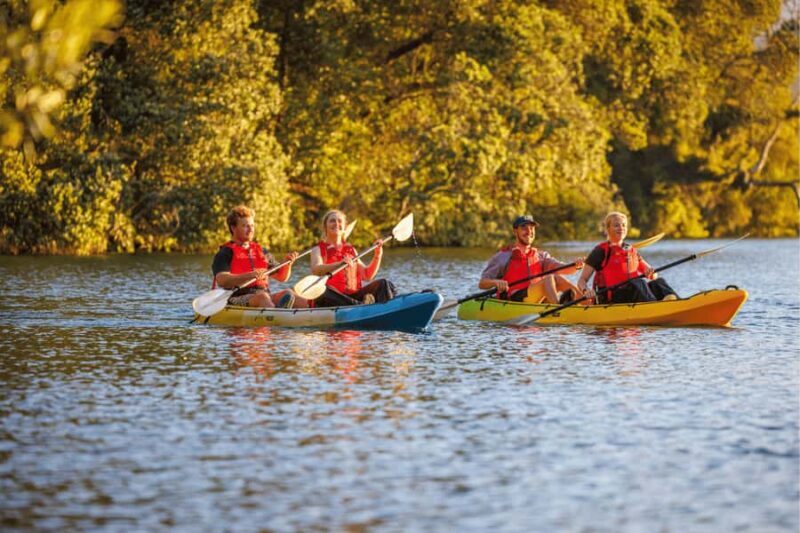 Rotorua: Glow Worm Adventure Kayak - Key Points