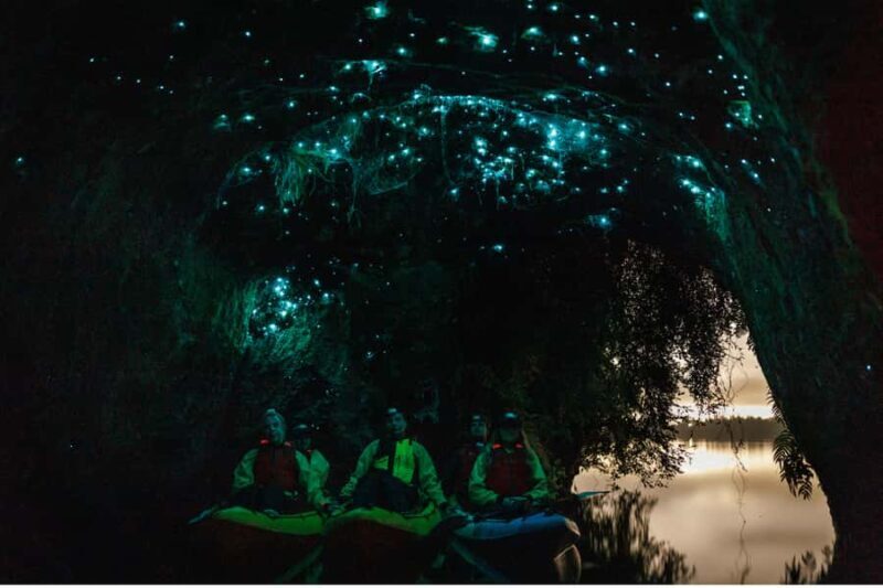 Rotorua: Glow Worm Adventure Kayak - A Closer Look at the Rotorua Glow Worm Kayak Experience