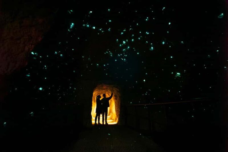 Rotorua: Glowworm Cave, Redwoods Forest & Te Puia Tour - Key Points