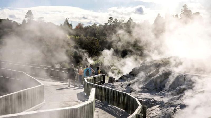 Rotorua: Glowworm Cave, Redwoods Forest & Te Puia Tour - Exploring Rotorua in Depth