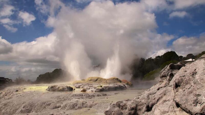 Rotorua: Glowworm Cave, Redwoods Forest & Te Puia Tour - What the Tour Means for Different Travelers