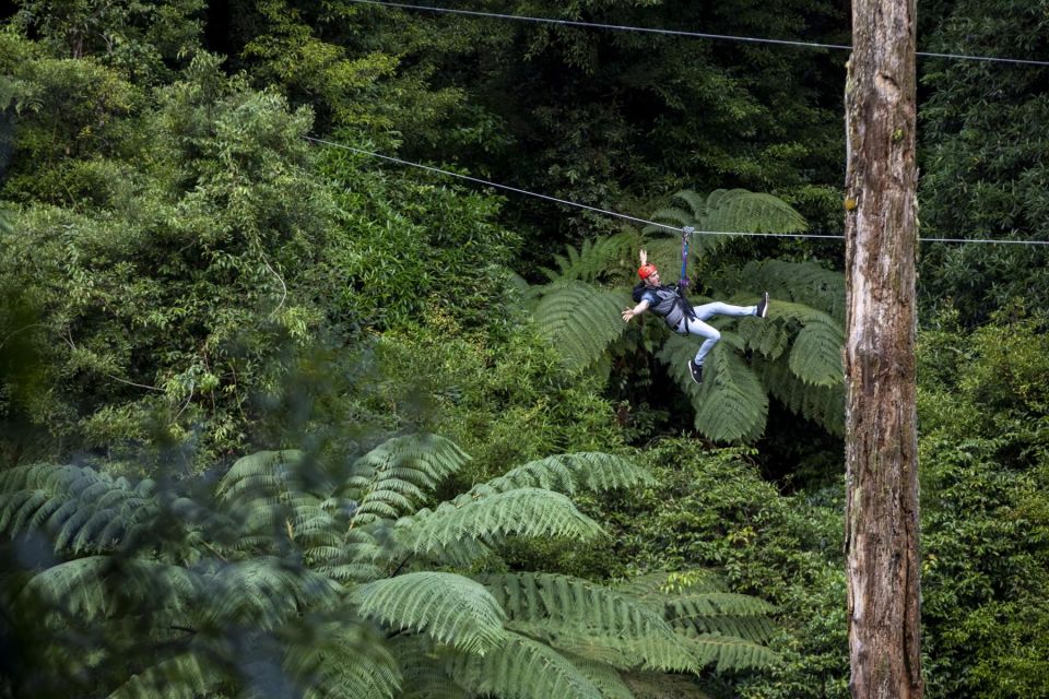 Rotorua: Guided Zipline Adventure Tour With Photos - Inclusions