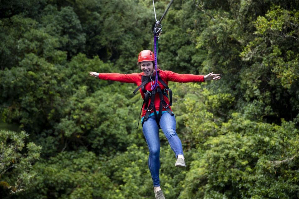 Rotorua: Guided Zipline Adventure Tour With Photos - Testimonials and Feedback