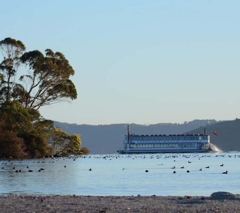Rotorua: Lake Rotorua Cruise with Buffet Dining Option - Practical Details and Considerations