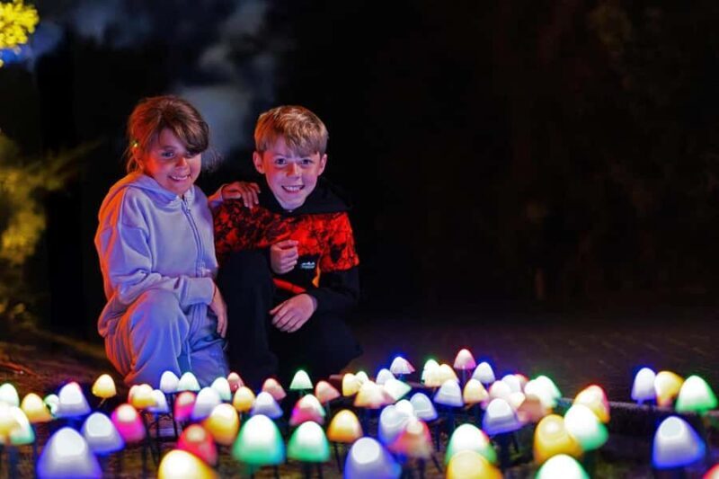 Rotorua: Marama Geyser Light Trail & Geothermal Experience - Who Will Love This Tour?