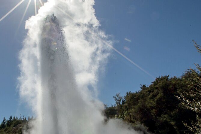 Rotorua Mori Village and Activity Combinations from Auckland - The Itinerary: A Breakdown of the Day