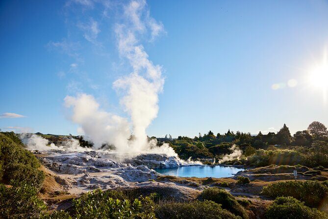 Rotorua Mori Village and Activity Combinations from Auckland - Summary: Who Should Consider This Tour?
