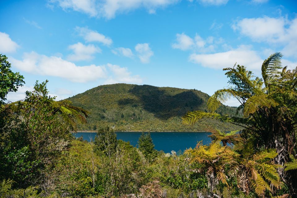 Rotorua: Off The Beaten Track Geothermal Day Tour - Key Points