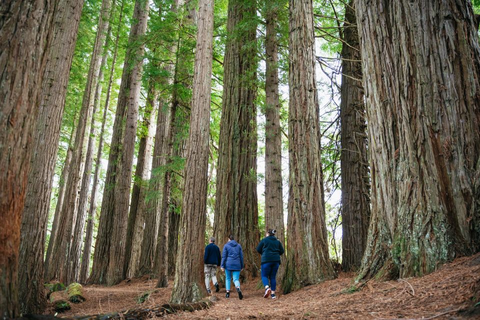 Rotorua: Off The Beaten Track Geothermal Day Tour - Itinerary Highlights