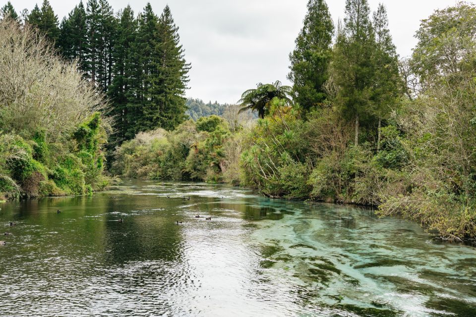 Rotorua: Off The Beaten Track Geothermal Day Tour - Inclusions