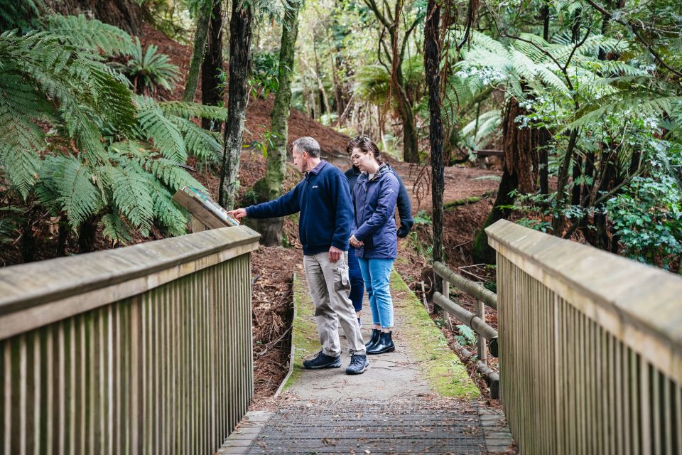 Rotorua: Off The Beaten Track Geothermal Day Tour - Directions & Meeting Point
