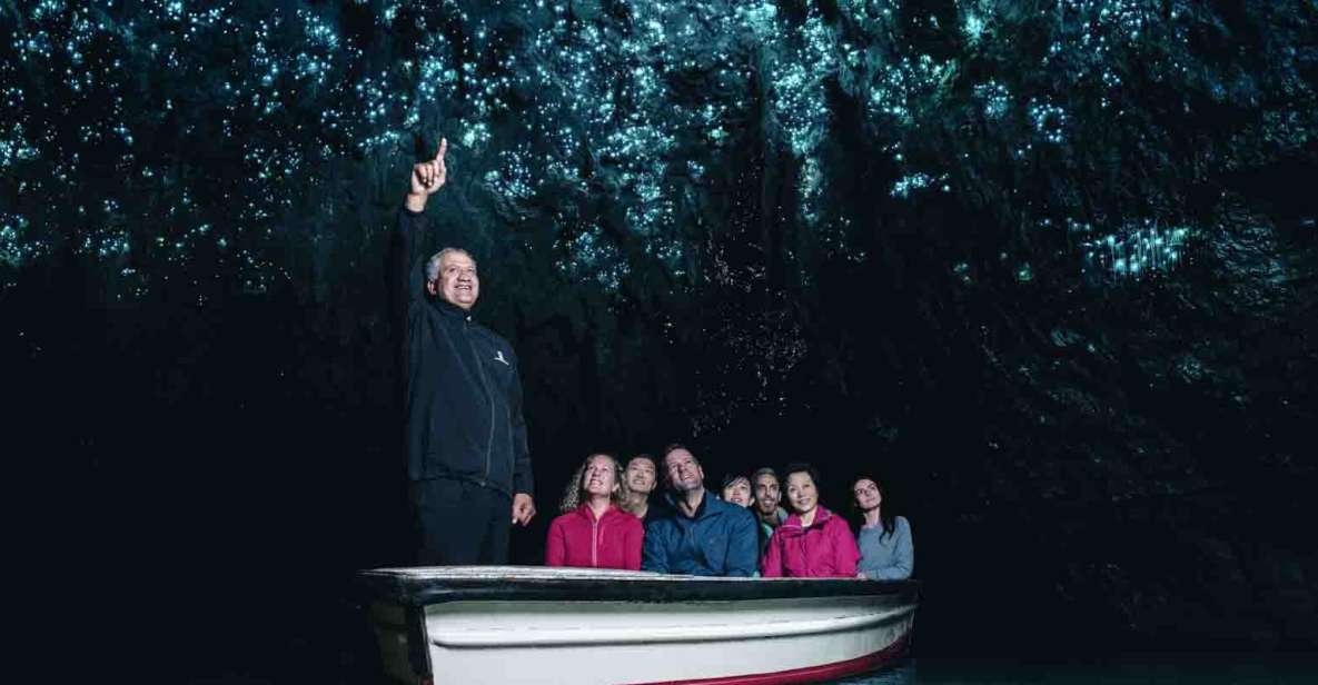 Rotorua: One-Way Trip to Auckland via Hobbiton & Waitomo - Experience Highlights