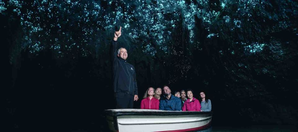 Rotorua: One-Way Trip to Auckland via Hobbiton & Waitomo - Itinerary
