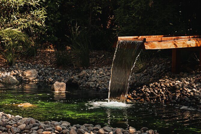 Rotorua Private Sauna Experience - Who Will Enjoy This Experience?