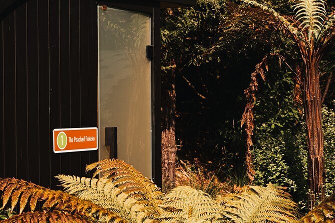 Rotorua Private Sauna Experience - Final Words